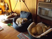 DSCF5234.webp