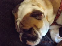 DSCF5245.webp