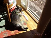 DSCF5238.webp