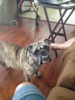 photo (1).webp