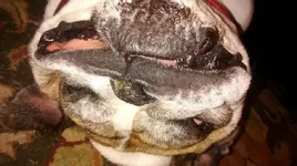 upside down Jada.webp