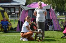 erkkari-334.jpg erkkari-334.jpg