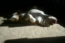 beau racked out.webp