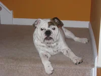 IMG_2501.webp