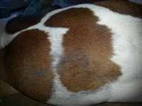 20140326_073821.jpg 20140326_073821.jpg