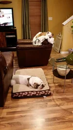sleep.webp