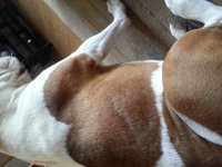 20140326_073809.jpg 20140326_073809.jpg