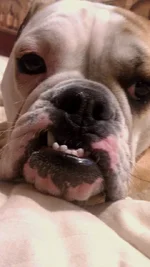 sophias sunday selfie.webp
