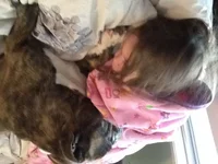 image.webp