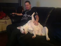 image.webp