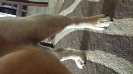 20140604_181750.webp