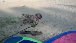 IMG_20130621_182505_829.webp
