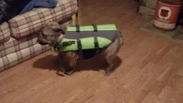 IMG_20130629_245557_171.webp