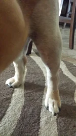 20140604_181750.webp
