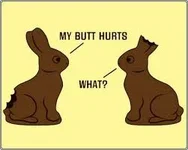 rabbits.webp rabbits.webp