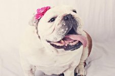 Gabbie2.jpg Gabbie2.jpg