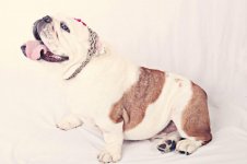 Gabbie3.jpg Gabbie3.jpg