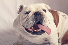 Gabbie1.jpg Gabbie1.jpg