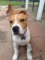 Tucker.webp