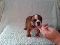 IMG_20140819_183915.webp