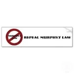 murphy.webp
