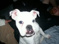 lia000000000.webp
