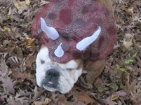 Halloween 027.webp Halloween 027.webp