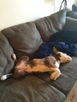 sleeping.webp