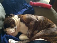 sleeping2.webp