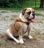 martha 007.webp