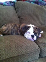 comfy on the couch2.webp