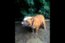 Muddy Baxter_May2011.webp