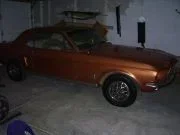 mustang.webp