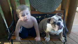 mattylily.webp