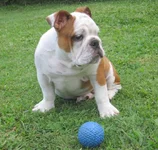 005.webp