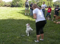 DSCN8340.webp