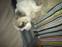 photo.webp