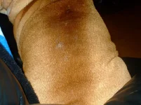 DSCF1176.webp