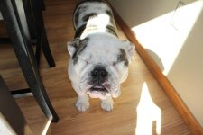 IMG_0492.jpg IMG_0492.jpg