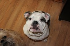 IMG_0496.jpg IMG_0496.jpg