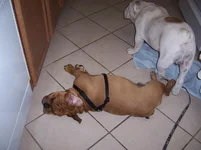 100_8474.webp