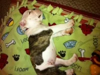 macyasleep.webp