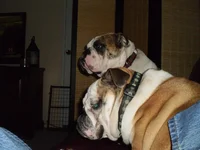Sittin on the couch with Mama.webp Sittin on the couch with Mama.webp