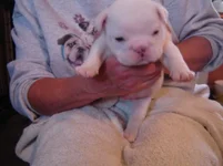 11-27-11 014.webp