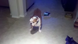 2011-11-25_17-08-38_216.webp