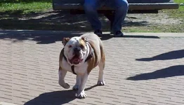 2011-11-27_12-54-10_289.webp