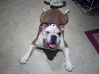 2011-10-18_21-40-36_982.webp