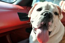 clip_image001.webp