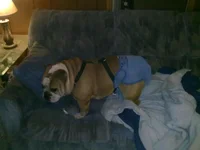 03302010021.webp 03302010021.webp
