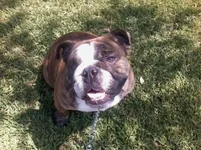 Photo0220-1[1].webp